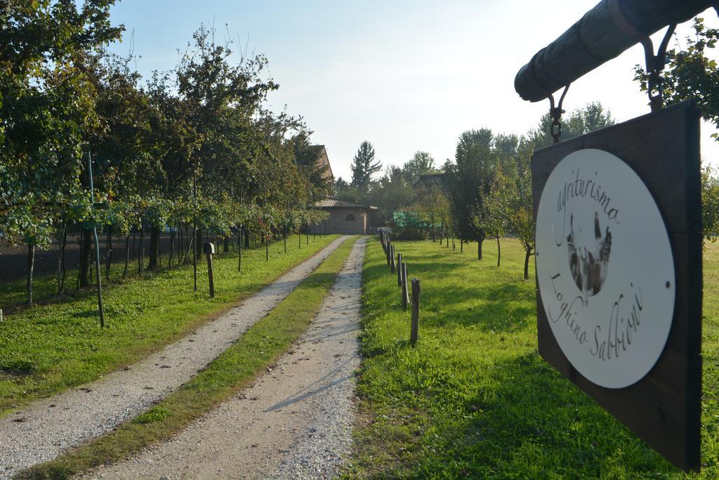 Farm stay Loghino Sabbioni Suzzara